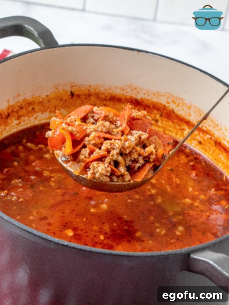 a ladle scooping up some pizza soup out of a dutch oven. 