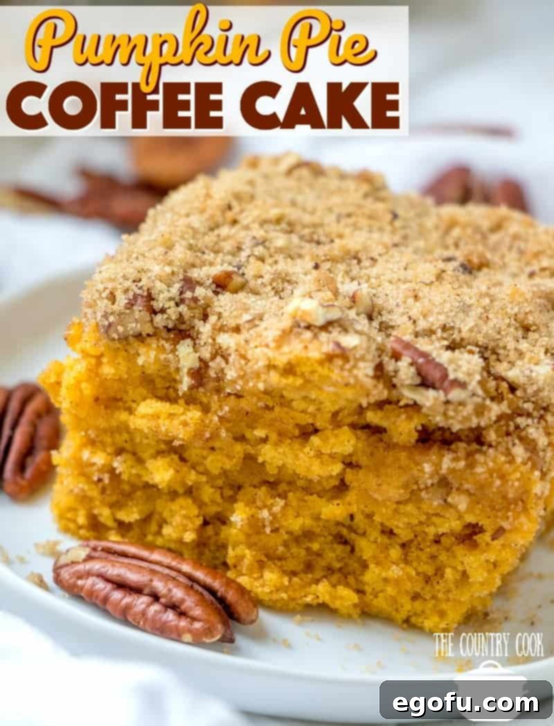 Close-up of a slice of Pumpkin Pie Coffee Cake on a white plate with scattered pecans.