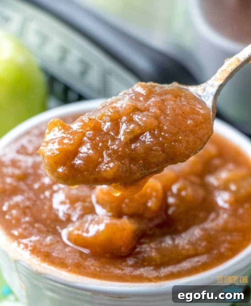 Freshly made homemade applesauce in a slow cooker, garnished with cinnamon and whole apples.