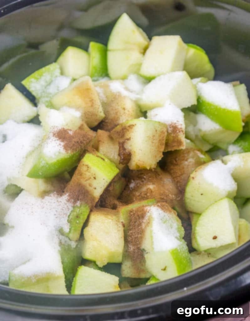Sugar, cinnamon, lemon juice, and diced apples are stirred together in a slow cooker.