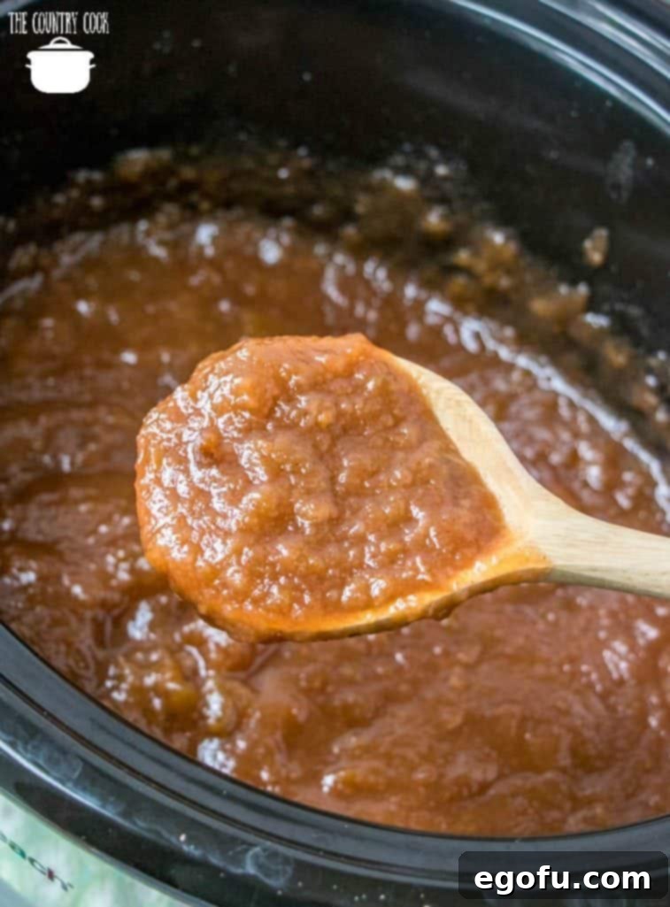 A spoonful of delicious homemade crock pot applesauce with a sprinkle of cinnamon.