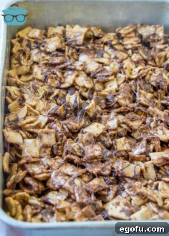 Gooey S'mores treats spread evenly in a baking dish, cooling