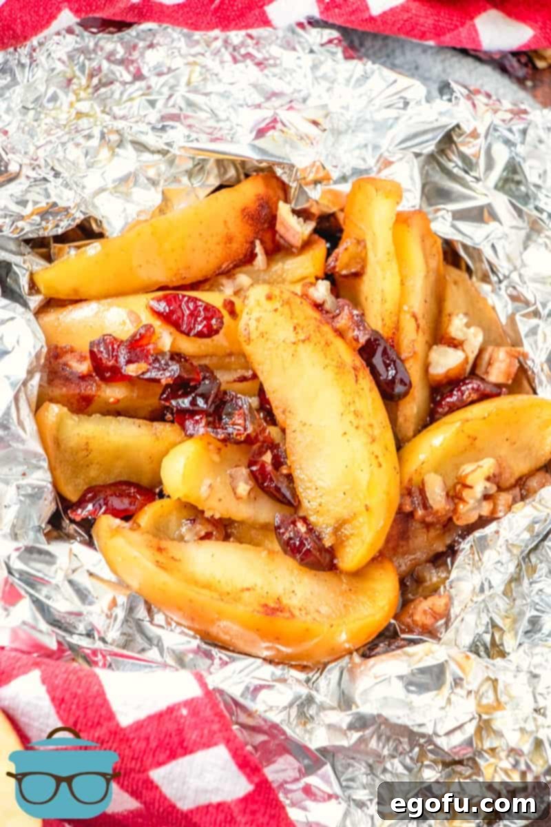sliced apples, dried cranberries, pecans and brown sugar cooked in aluminum foil packets.