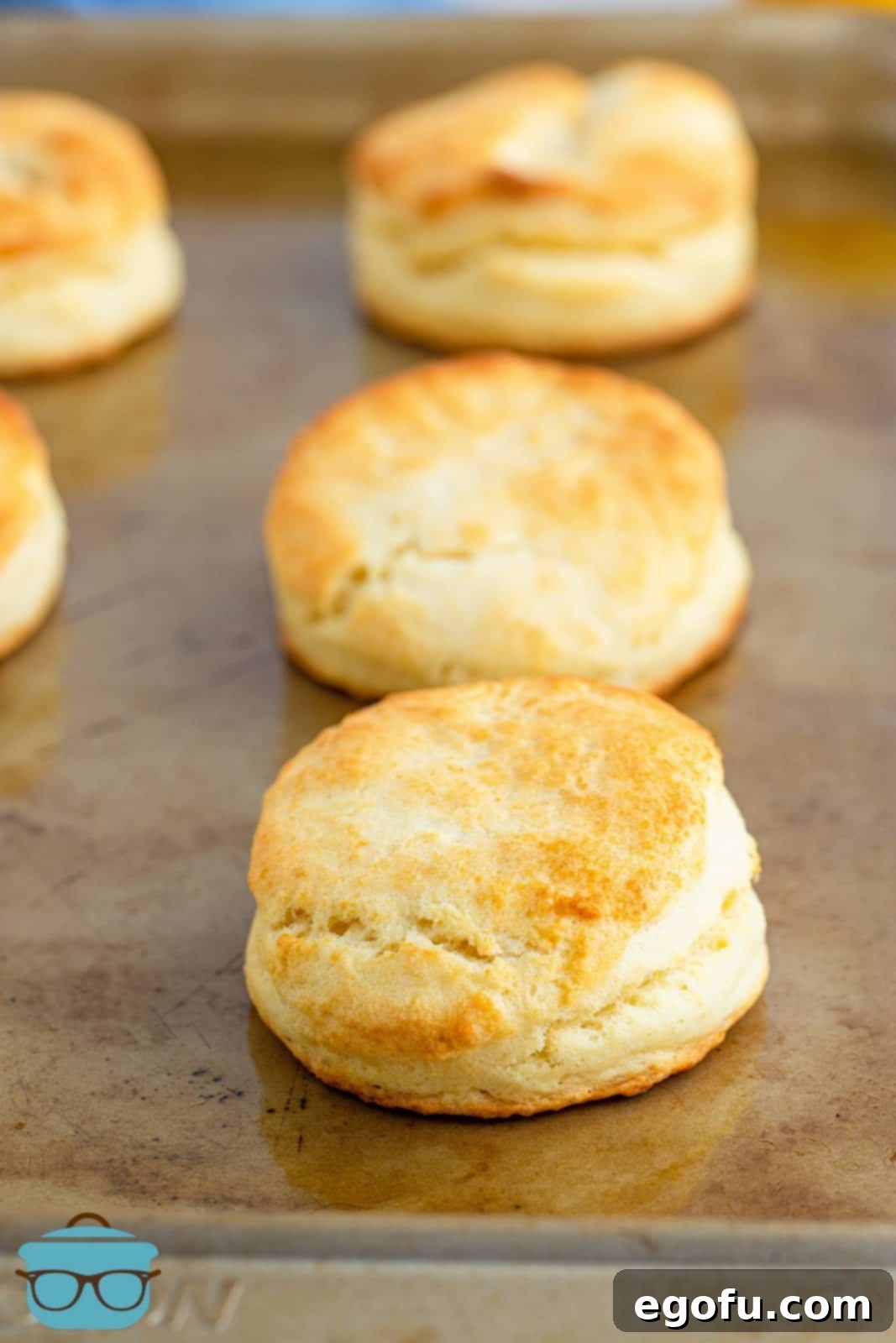 Three freshly baked, golden brown cream biscuits resting on a cookie sheet.