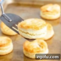 A delicious cream biscuit held on a silver spatula, hovering over a pan of other baked biscuits.