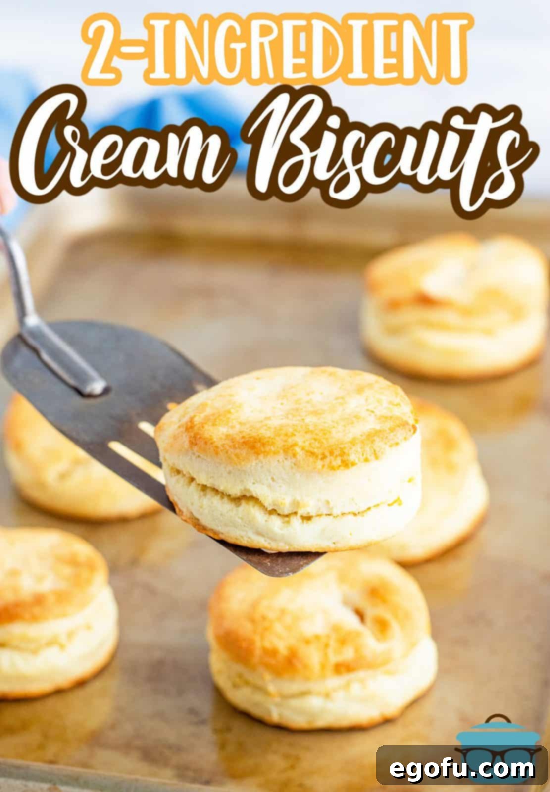 A silver spatula holds a freshly baked homemade cream biscuit over a baking pan filled with more golden biscuits.