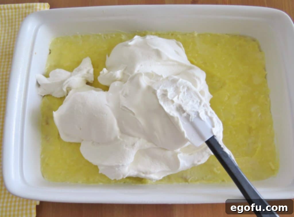 Homemade whipped cream being artfully and smoothly spread over the creamy coconut pudding layer and pie crust in a baking dish, forming the final, inviting topping.