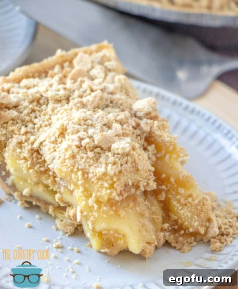 Easy No-Bake Apple Pie slice on a white plate, garnished with a sprinkle of graham cracker crumbs, ready to be enjoyed as a refreshing summer dessert.