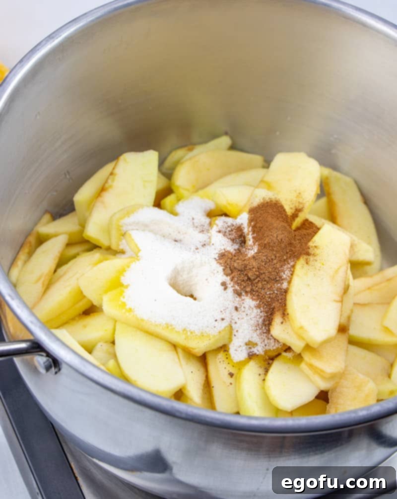 Thinly sliced apples, dry lemon Jell-O mix, cinnamon, and nutmeg combined in a large saucepan, ready to be heated and simmered on the stovetop.