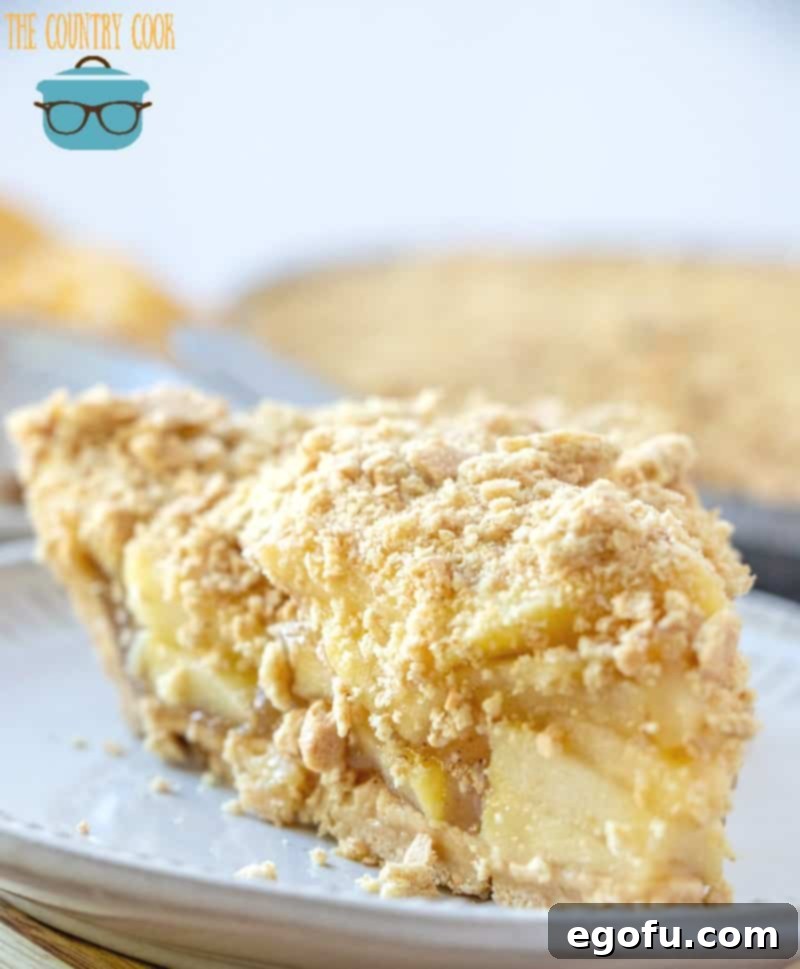 A beautifully presented slice of no-bake apple pie with a generous graham cracker topping on a clean white plate, ready to be enjoyed as a refreshing dessert.