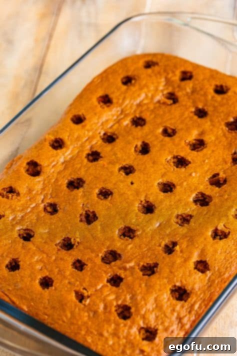 Super Moist Carrot Poke Cake 12 A baked Carrot Cake with holes in it.