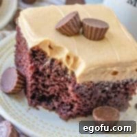 slice, Reese's Peanut Butter Cup Cake