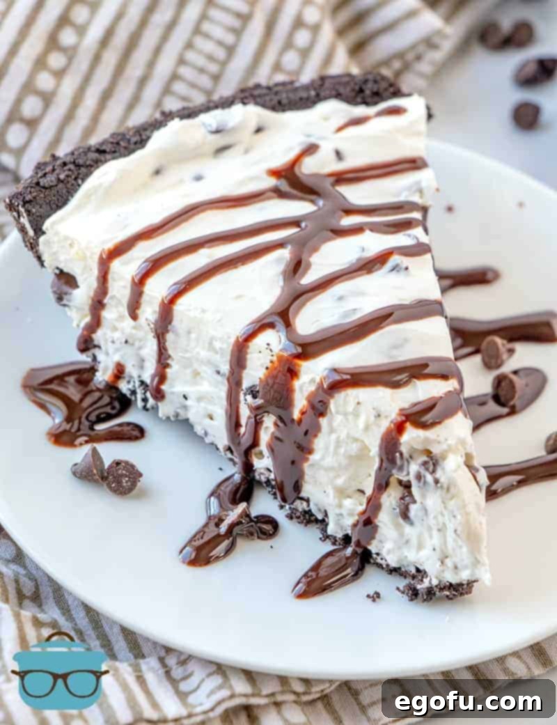 slice, No Bake Chocolate Chip Cheesecake, slice with drizzled chocolate syrup.