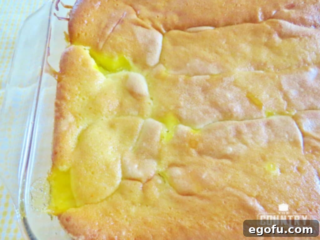 Finished, warm lemon pudding cake in a baking dish, fresh from the oven