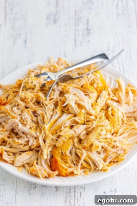 Shredded buffalo chicken on a plate with tongs.