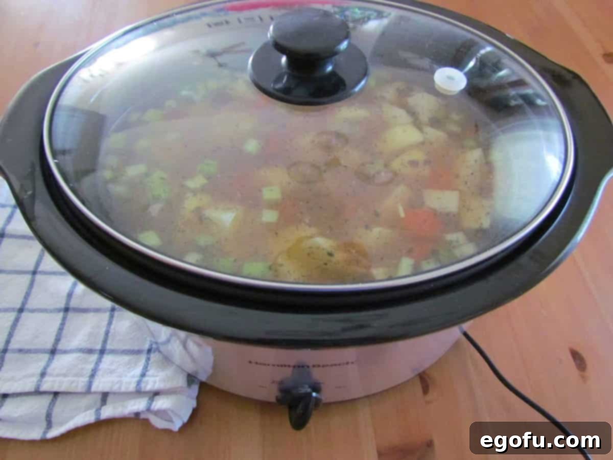 covered Hamilton Beach 6-quart slow cooker.