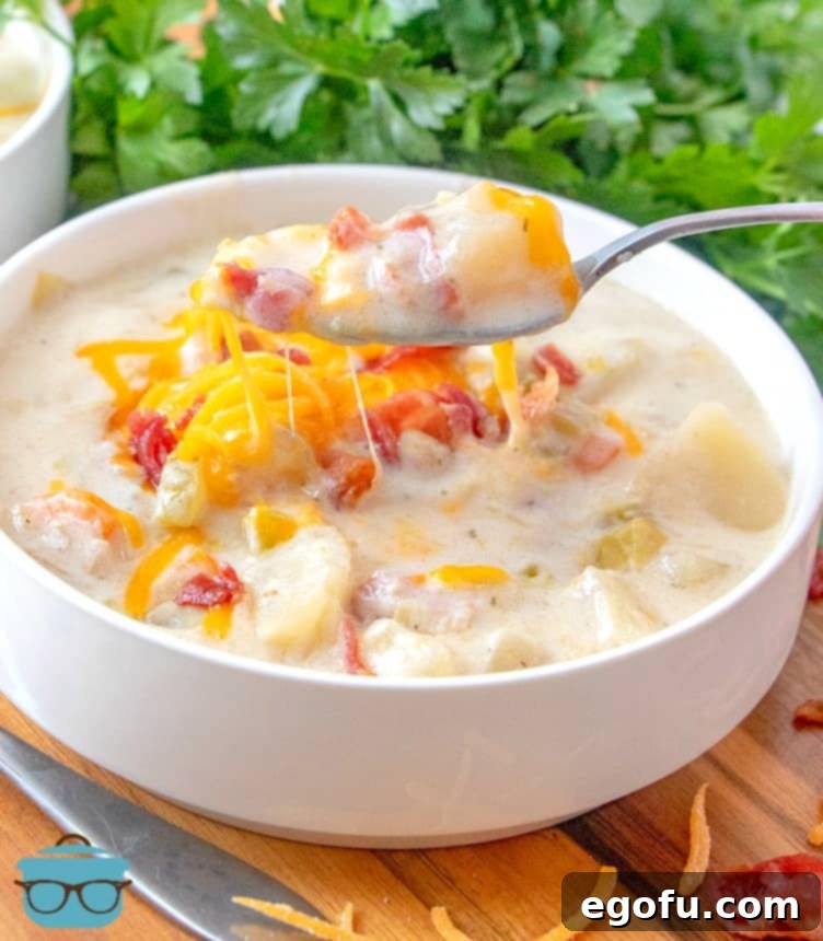 spoonful, Leek and Potato Soup.