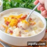 Slow Cooker Leek and Potato Soup