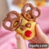Red Nosed Reindeer Treats 15 Rudolph Reindeer Christmas Cookies.