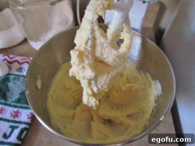 shortening, sugar, vanilla and eggs mixed together in a steel stand mixer bowl
