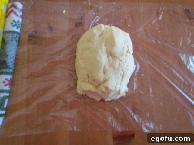 sugar cookie dough placed on plastic wrap