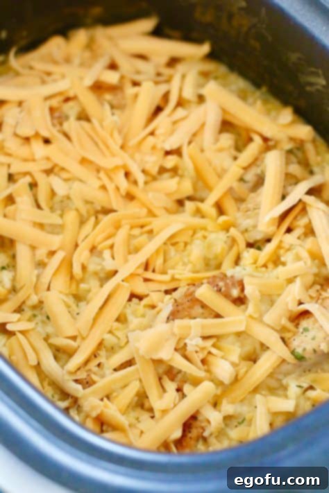 Shredded cheddar cheese added to the top of the chicken and rice mixture.