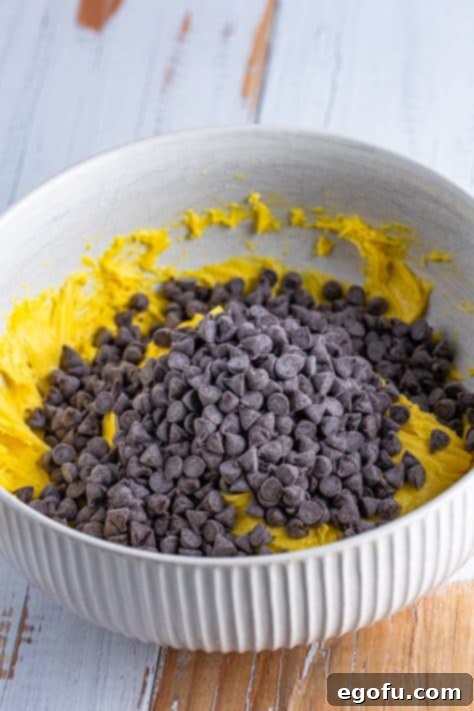 Chocolate chips being added to cake mix.