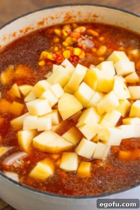 Potatoes and beef broth being added to crushed tomatoes, pinto beans, drained northern beans and corn.