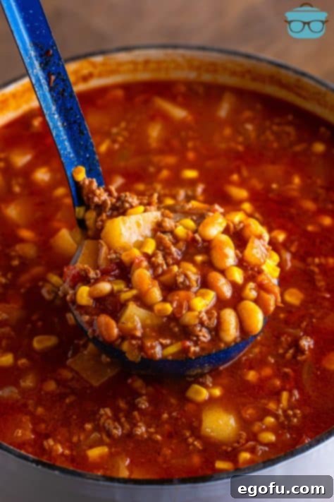 A ladle holding some Brunswick Soup over the rest of the pot.
