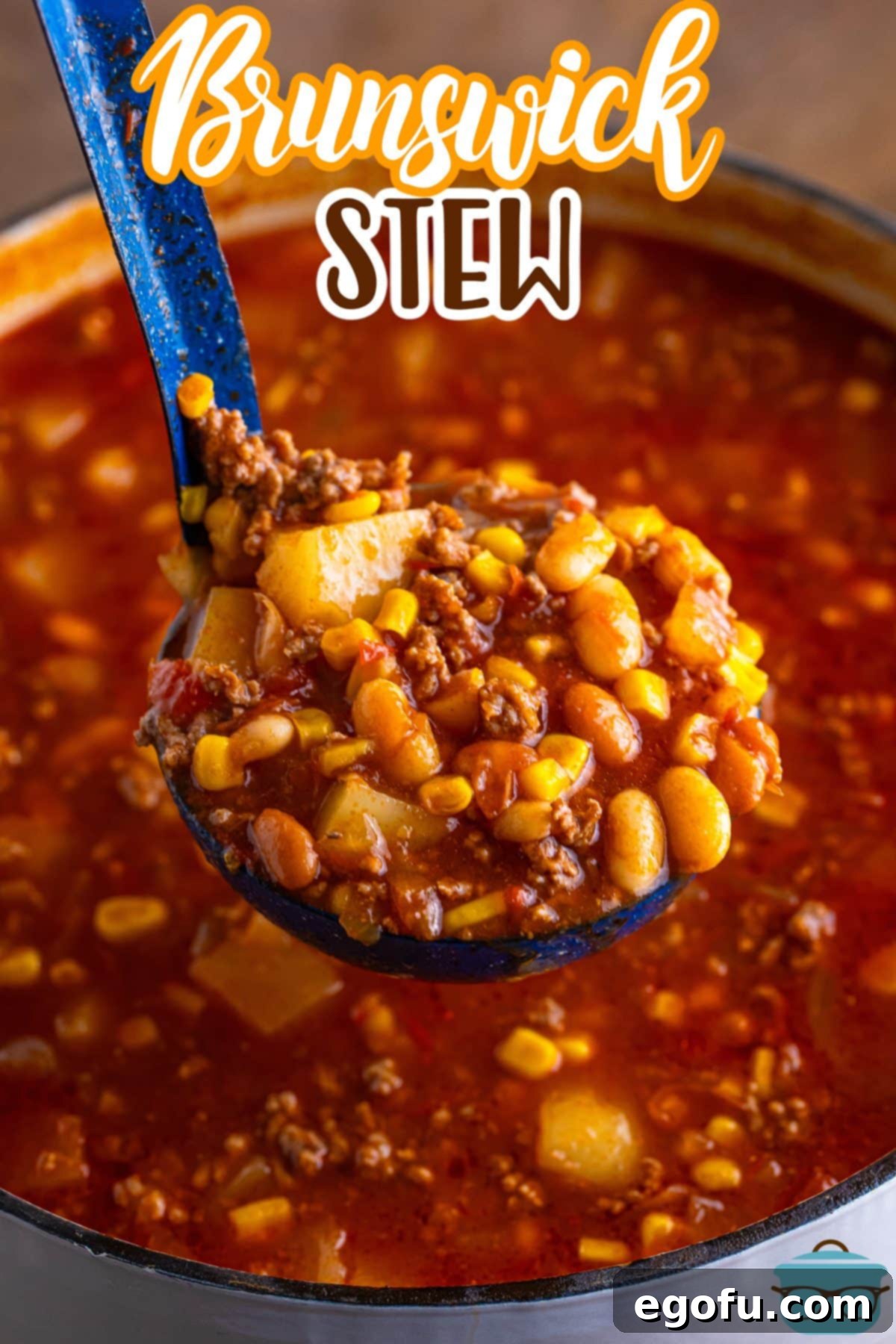 A pot of Brunswick Stew and a ladle holding a serving.