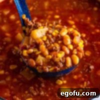 A big ladle full of Brunswick Stew.