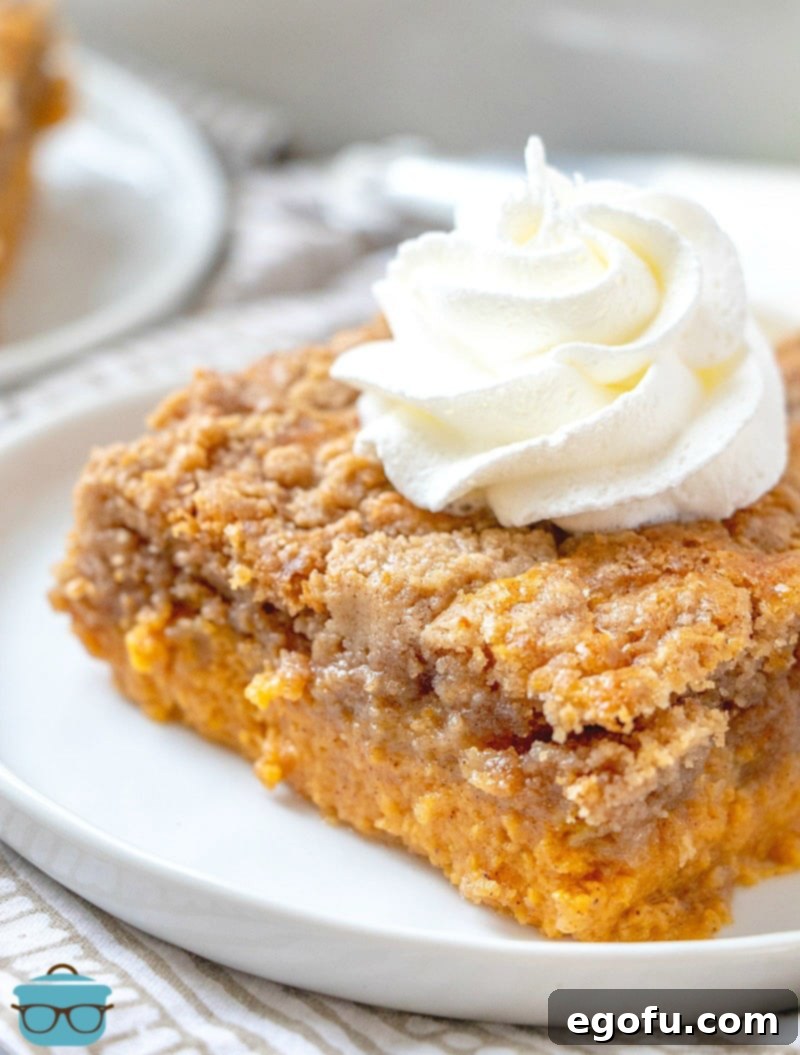 Close up side image of a slice of Pumpkin Dump Cake with whipped cream on top, ready to be enjoyed.