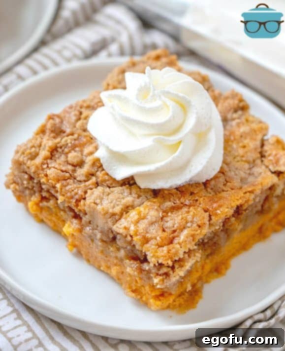 A slice of Pumpkin Dump Cake on a white plate topped with whipped cream.