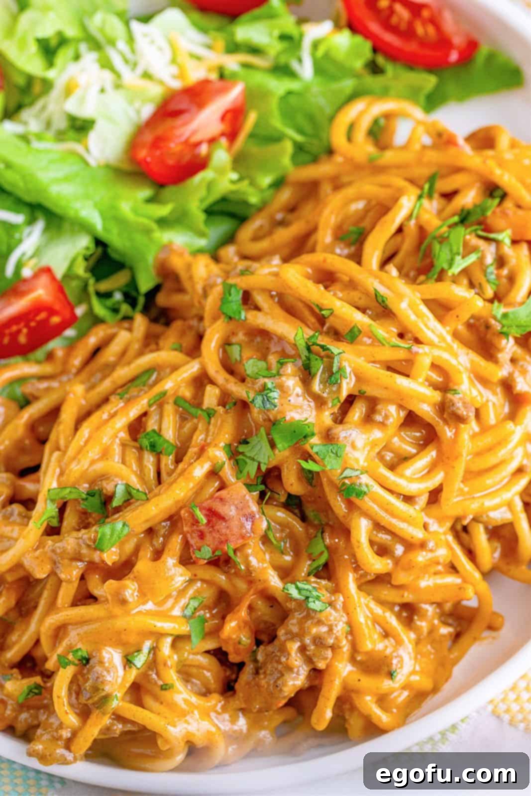 A vibrant plate of One Pot Taco Spaghetti, garnished with fresh cilantro, ready to be enjoyed, with a side salad.