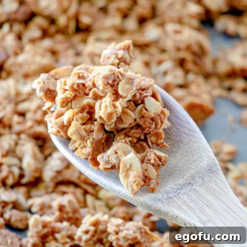 A wooden spoon lifting a scoop of delicious homemade granola, showcasing its golden clusters and wholesome ingredients.