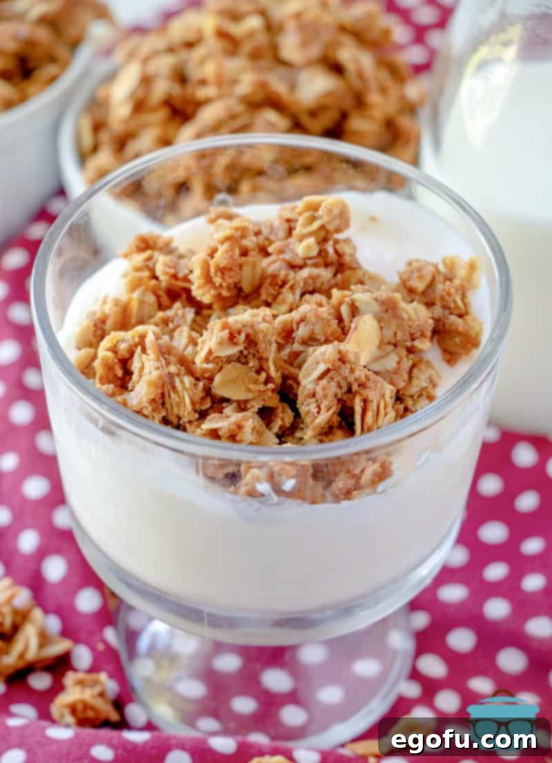 Homemade granola generously served over creamy vanilla yogurt, a perfect breakfast or snack.