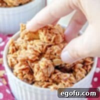 Homemade Granola recipe.