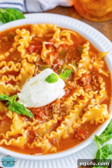Close up of a bowl of pasta soup with ricotta cheese and some basil leaves.