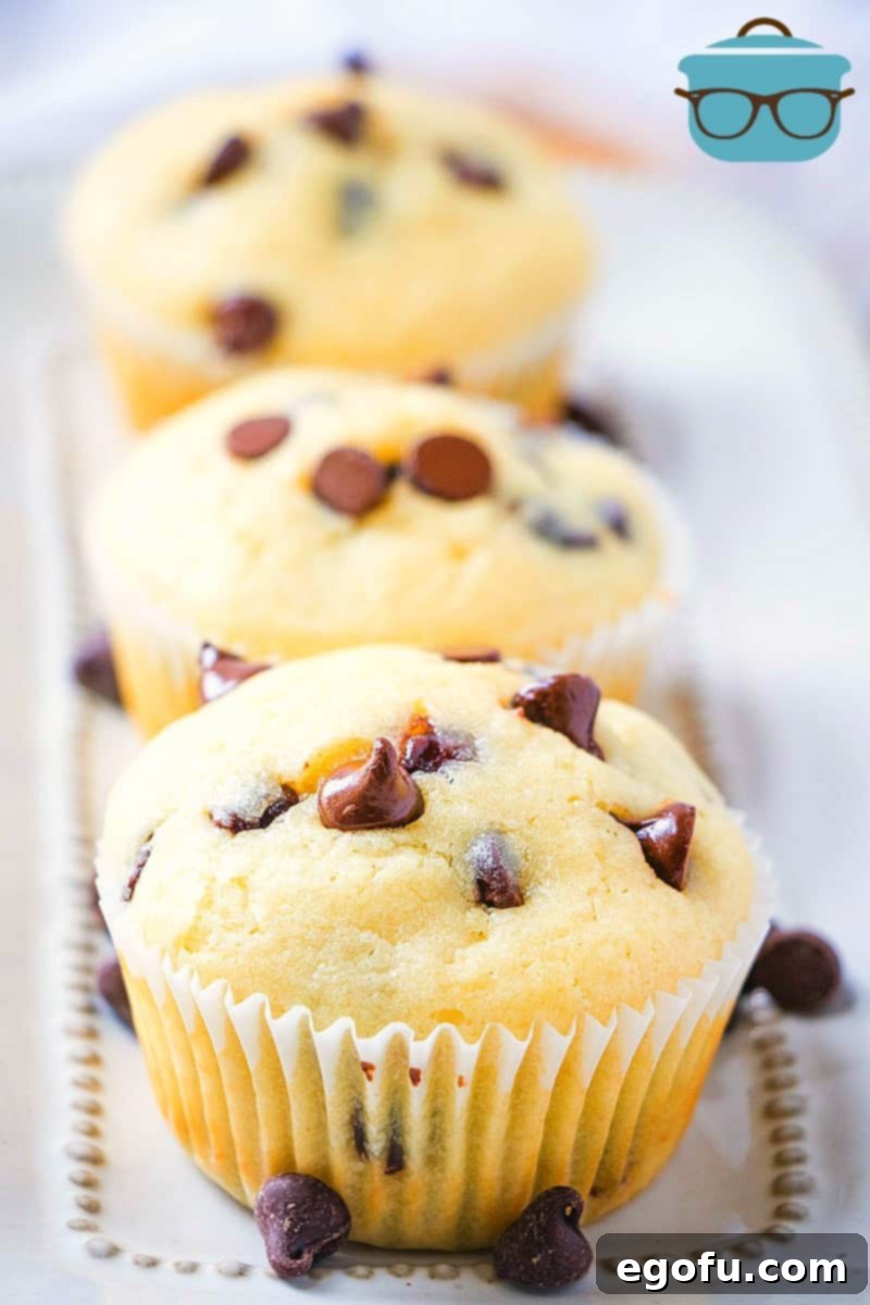 Decadent Milk Chocolate Chip Muffins 2 Homemade Milk Chocolate Chip Muffins on a tray sprinkled with chocolate chips.