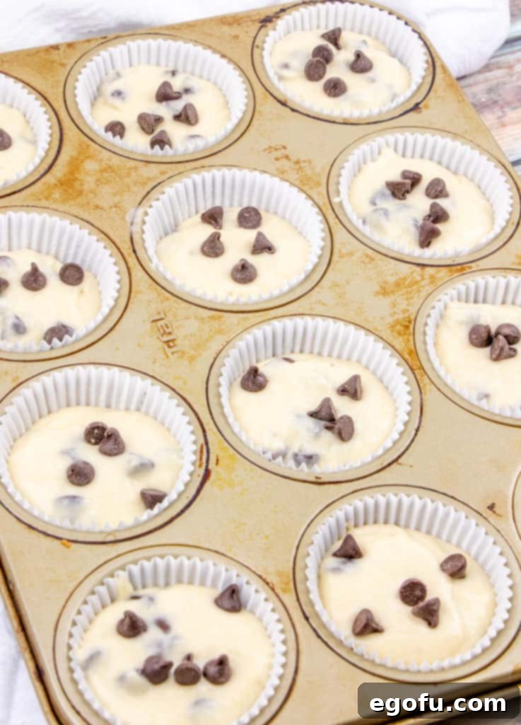 Decadent Milk Chocolate Chip Muffins 8 cupcake liners in a muffin pan filled chocolate chip muffin batter and topped with milk chocolate chips.