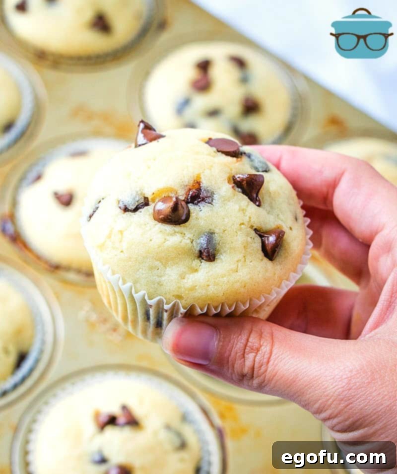 Decadent Milk Chocolate Chip Muffins 9 finished, Homemade Milk Chocolate Chip Muffins. Hand holding up one muffin over a cupcake pan.