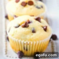 Decadent Milk Chocolate Chip Muffins 10 Homemade Milk Chocolate Chip Muffins