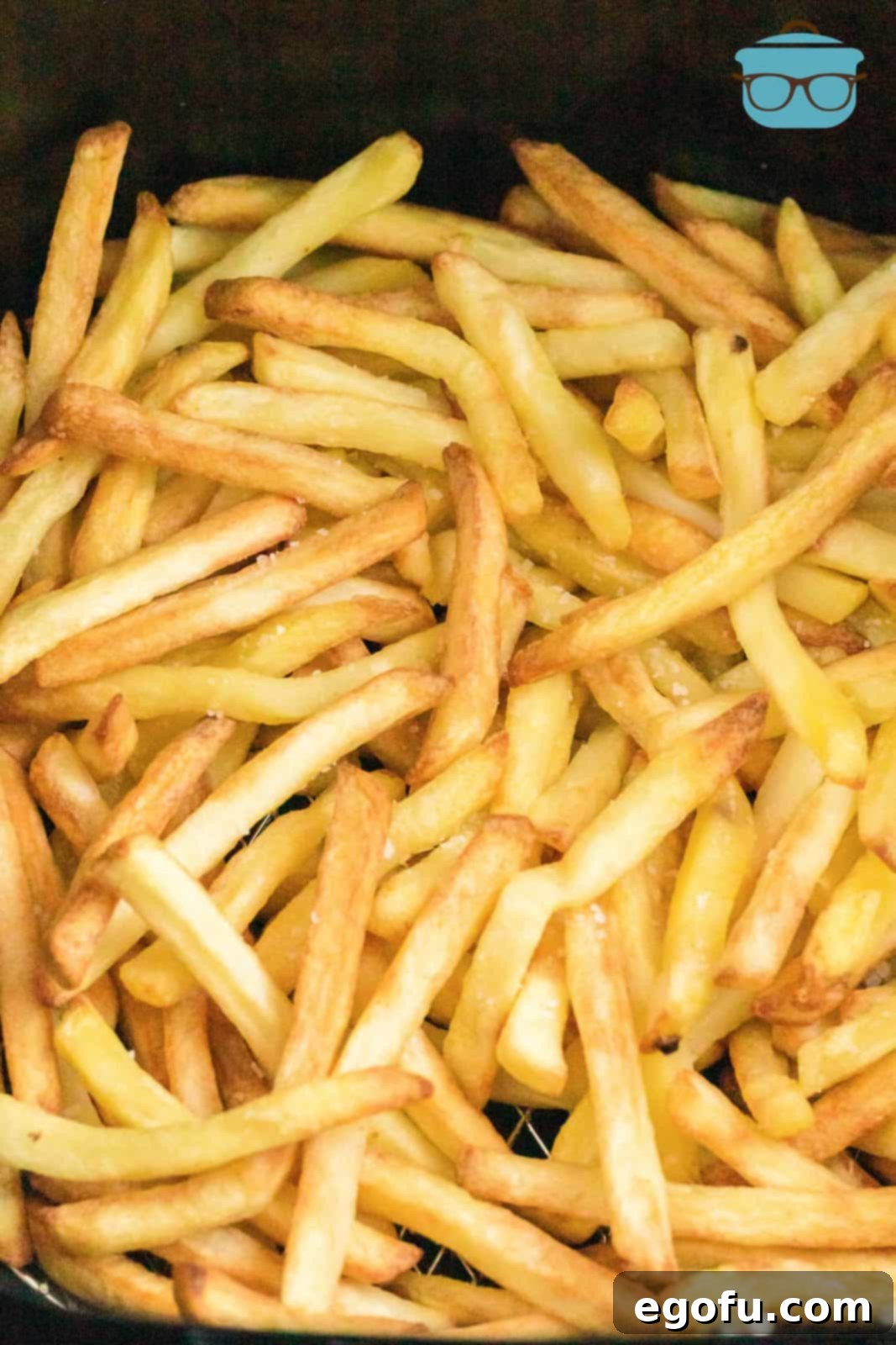 Close up of finished Air Fryer French Fries in basket of air fryer.