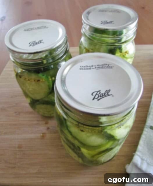 Sweet & Tangy Golden Slices 20 A hand deliberately placing a lid onto a Ball mason jar filled with pickles, carefully preparing it for the sealing and canning process.