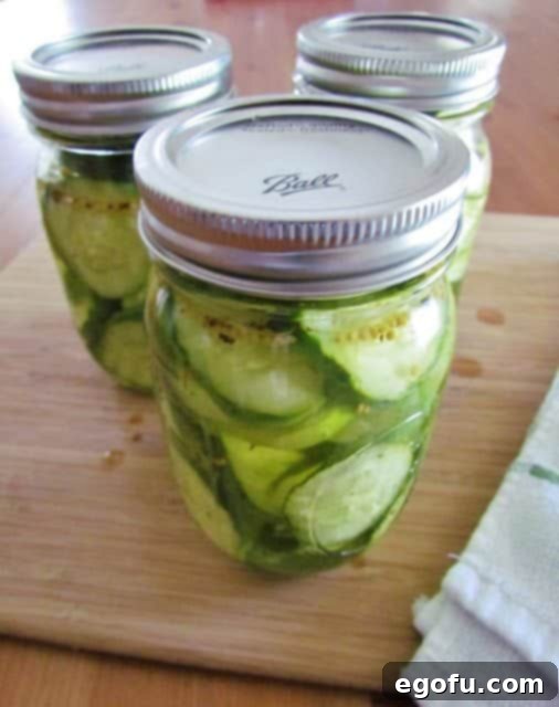 Sweet & Tangy Golden Slices 21 Three jars of homemade Bread and Butter Pickles resting securely in a metal canning rack, poised to be lowered into boiling water for preservation.
