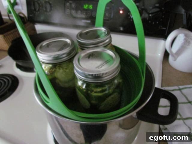 Sweet & Tangy Golden Slices 23 A canning rack, holding jars of pickles, being carefully and gently lowered into a large, bubbling pot of boiling water for preservation.