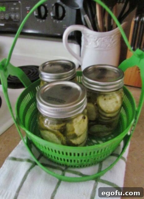 Sweet & Tangy Golden Slices 25 Freshly canned bread and butter pickles in mason jars, arranged on a cooling rack after being removed from the water bath canner.