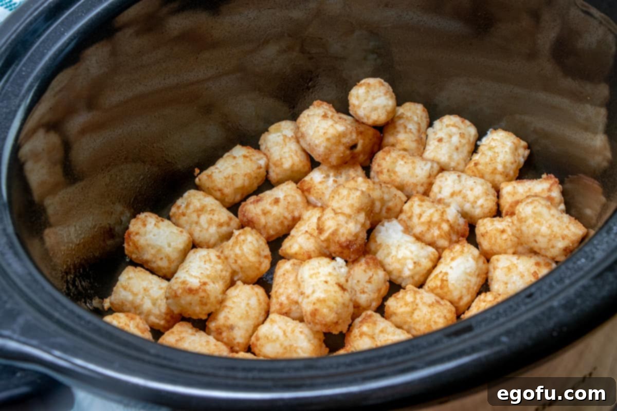 The bottom of a black oval slow cooker is lined with an even layer of frozen tater tots.