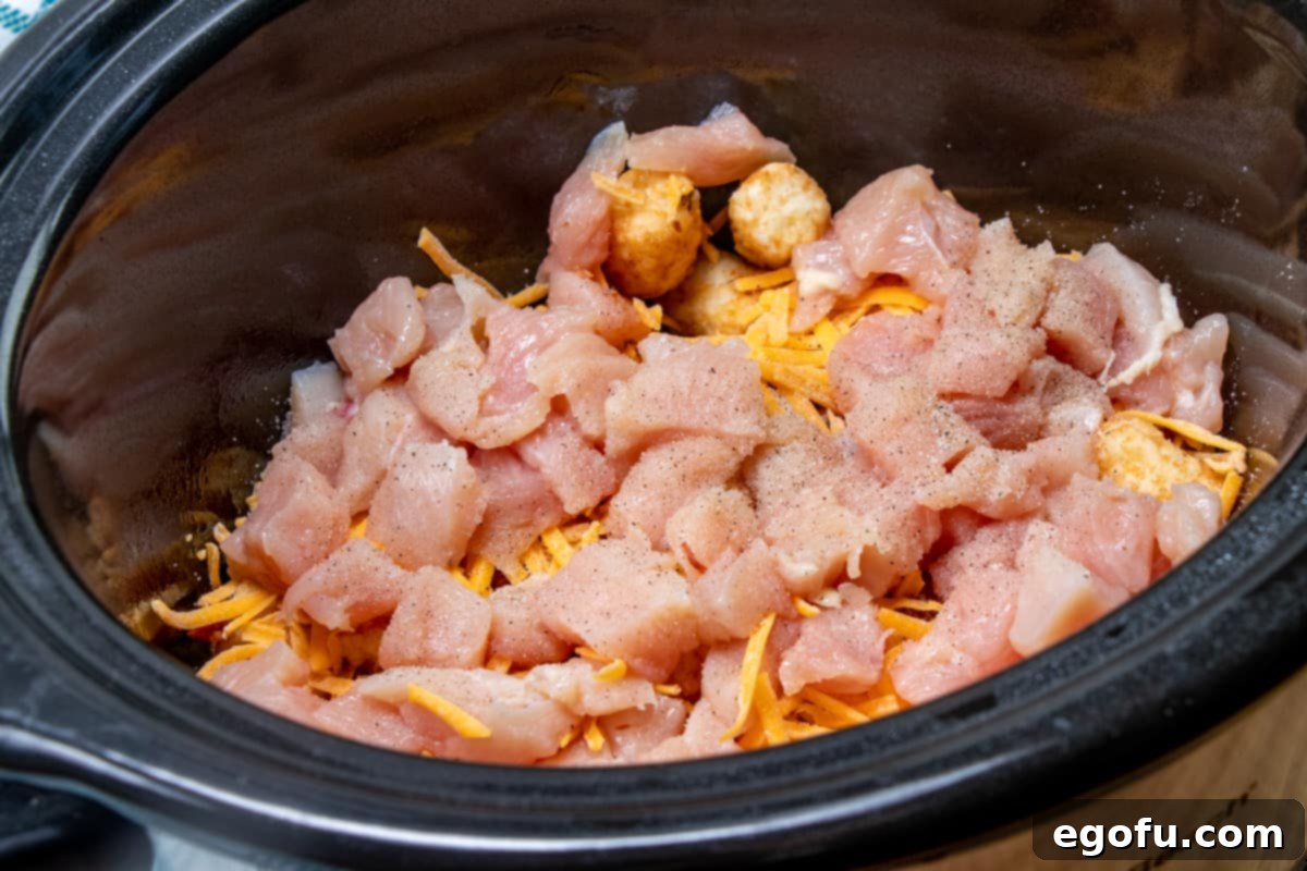 Diced raw chicken breasts are layered over the cheese, bacon, and frozen tater tots in the slow cooker, ready for seasoning.