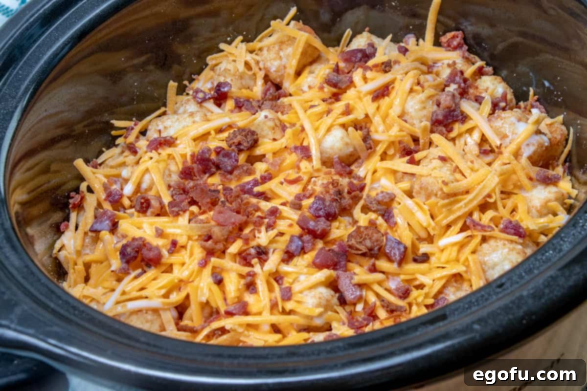 The top layer of the casserole, featuring diced chicken, tater tots, shredded cheddar cheese, and bacon pieces, all neatly arranged in the slow cooker.